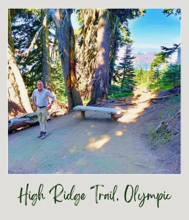 High Ridge Trail to Sunrise Point, Hurricane Ridge: Complete Guide A man standing beside the bench surrounded by trees in Hurricane Ridge Olympic National Park