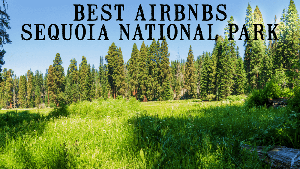 Best Airbnbs Sequoia National Park