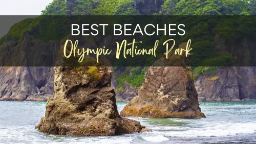 View of sea stacks on the sea, with the text, Best Beaches Olympic National Park.