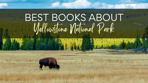 A bison in grassland, and behind are trees, with the text, Best Books About Yellowstone National Park.