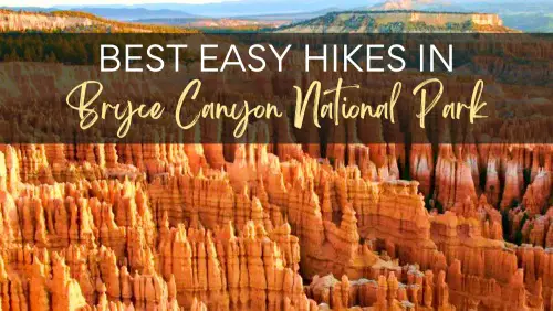 Bryce Canyon National Park Guide orange hoodoos with text The 5 best hikes in Bryce Canyon National Park
