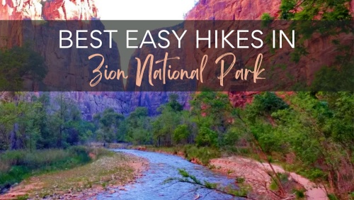 Scenic river flowing through a lush green canyon surrounded by towering red rock cliffs in Zion National Park, with the text: 'The 5 Best Easy Hikes in Zion National Park"