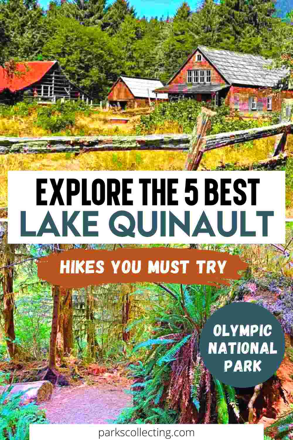 Hikes near hotsell lake quinault