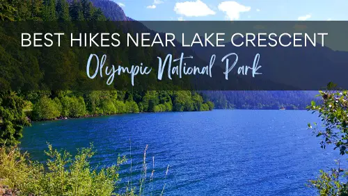 View of a blue lake surrounded by mountains and trees, with the text, Best Hikes Near Lake Crescent Olympic National Park.