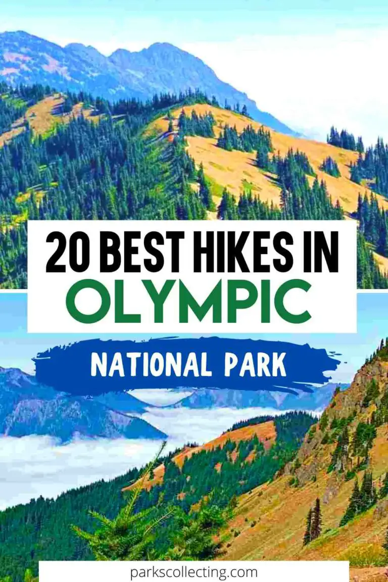 Best Hikes In Olympic National Park The Trails You Can’T Afford To Miss - q5lf3xt