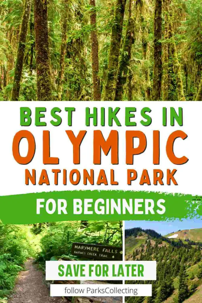 6 Best Easy Hikes in Olympic National Park Best Hikes in Olympic National Park for Beginners