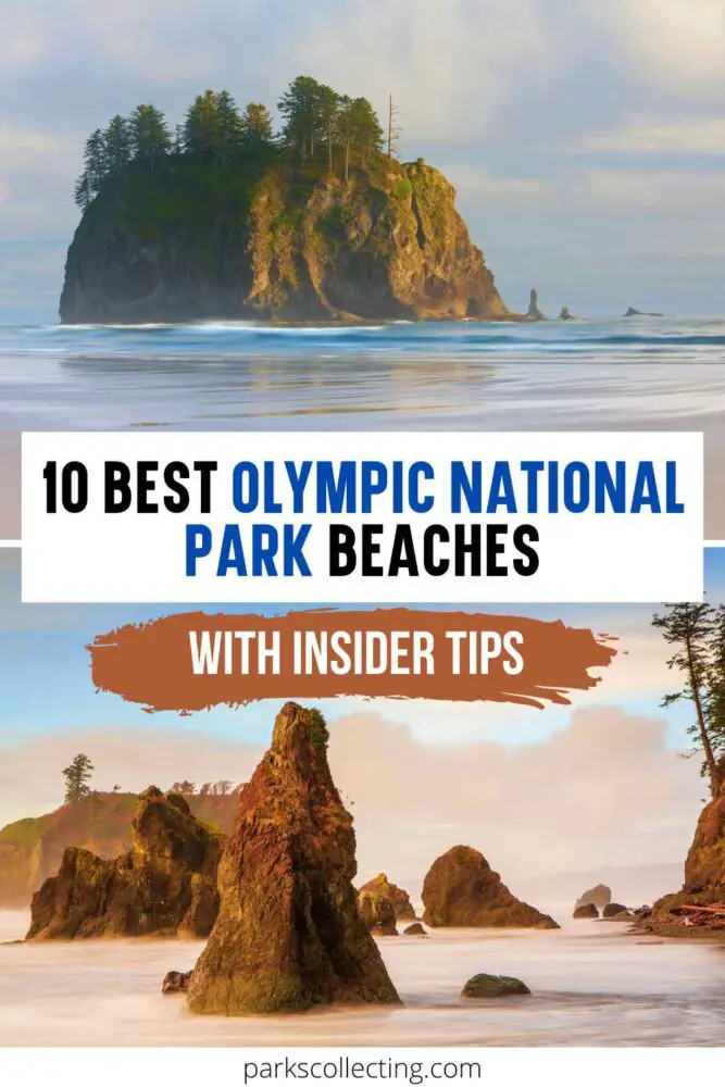 Best Olympic National Park Beaches_ With Insider Tips