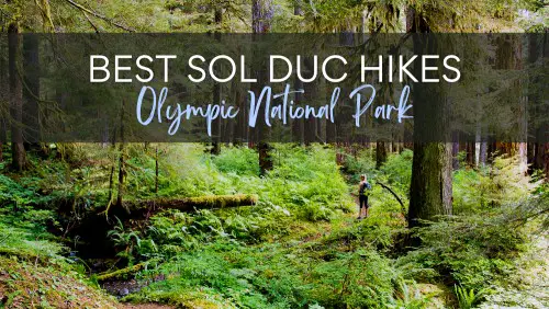 View of a woman standing on the trail surrounded by trees and plants, with the text, Best Sol Duc Hikes Olympic National Park.