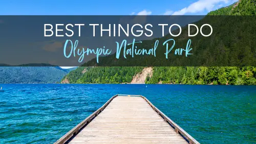 View of wooden planks near the blue lake surrounded by mountains and trees, with the text, Best Things To Do Olympic National Park.