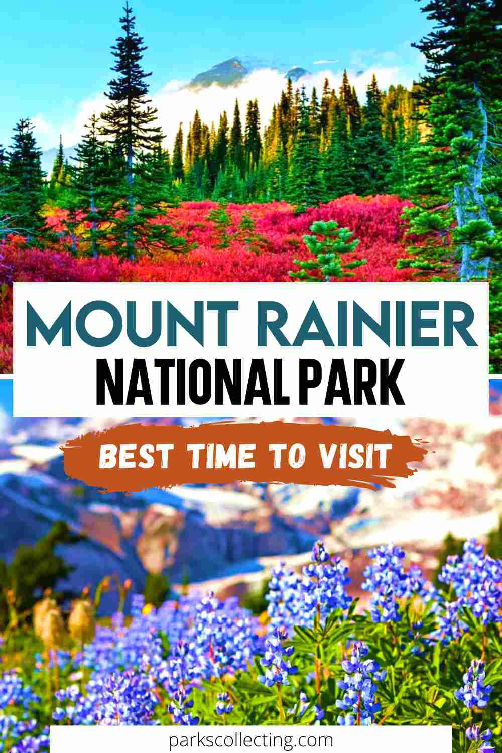 MOUNT RAINIER NATIONAL PARK BEST TIME TO VISIT visual data 3