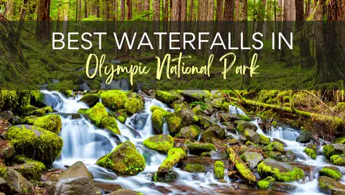 View of waterfalls surrounded by stones, logs, and trees, with the text, Best Waterfalls in Olympic National Park.