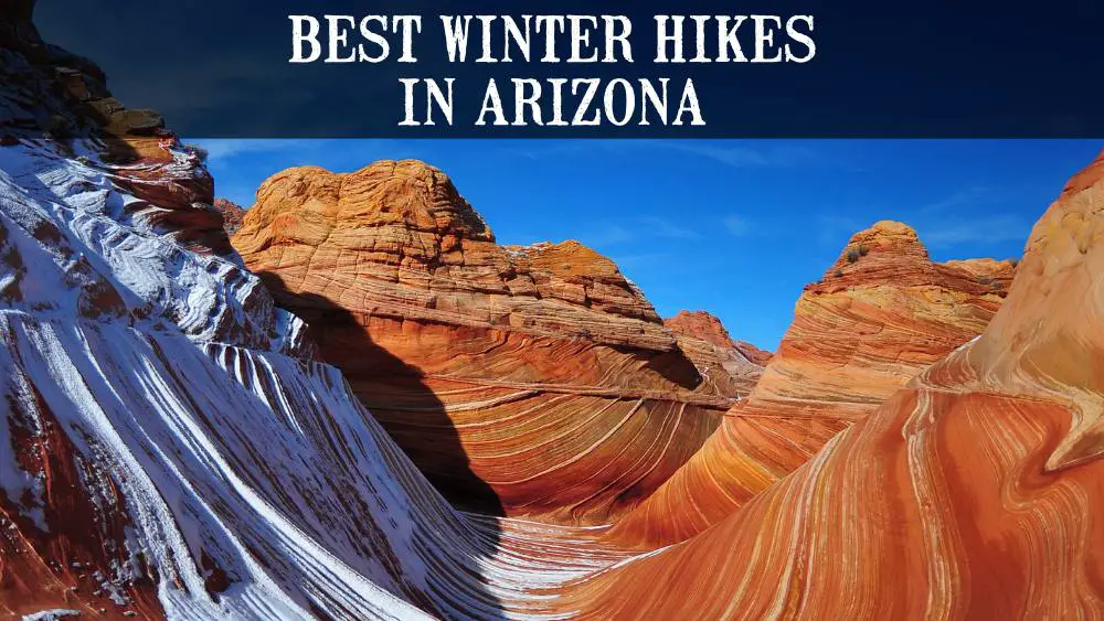 Best Winter Hikes in Arizona