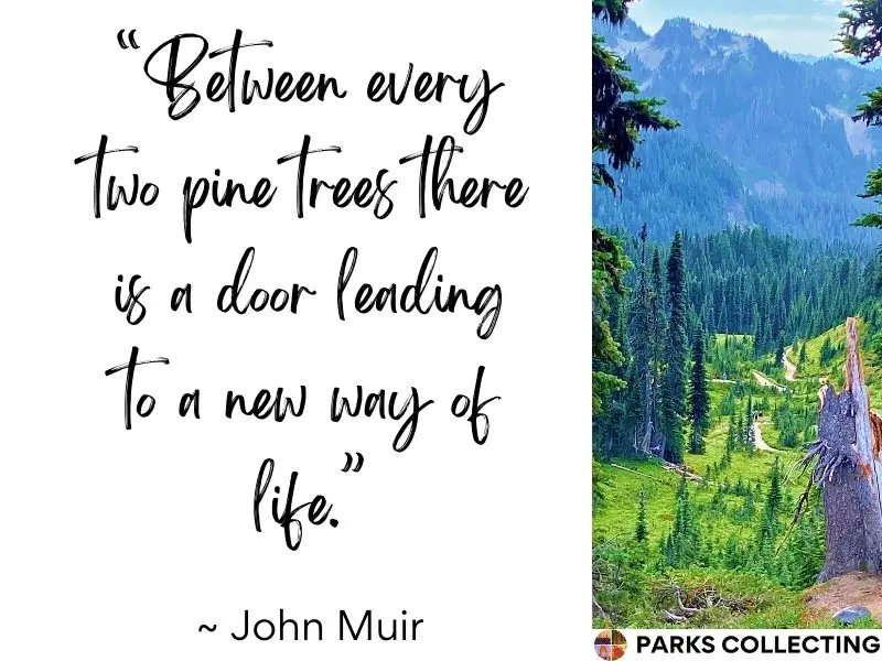 Between every two pine trees there is a door leading to a new way of life