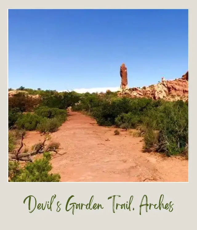 View of huge rock formations and bushes in Devils Garden Trail in Arches National Park.