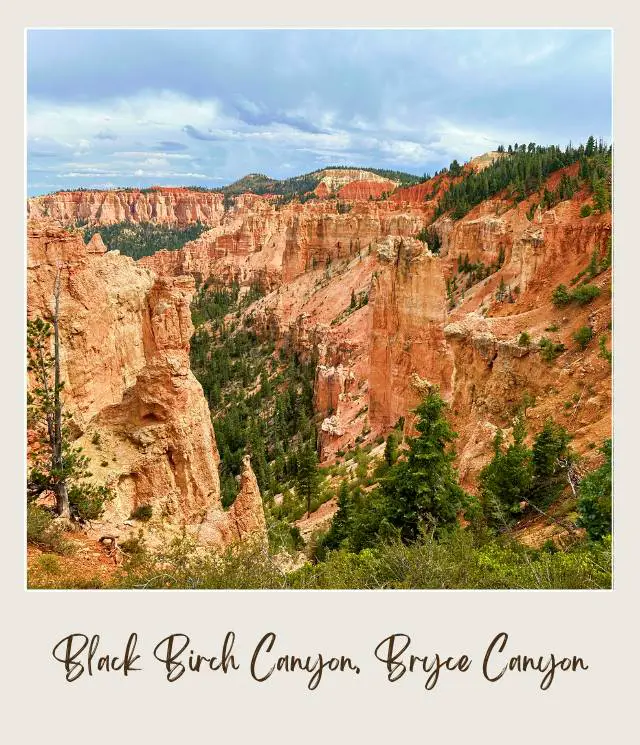 View of hoodoos and trees in Black Birch Canyon Bryce Canyon.