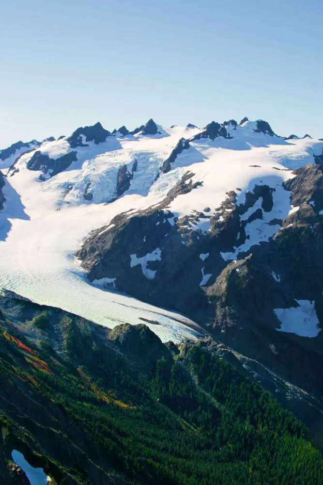 Snow-capped mountains and below are mountains of green trees in Blue Glacier