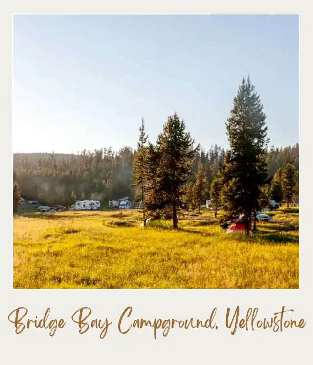 The Best Camping in Yellowstone National Park: Complete Guide Bridge Bay Campground in Yellowstone National Park 1