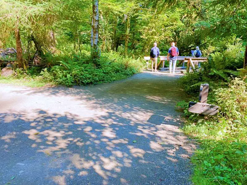 Bridge at start of Hoh River Trail Olympic National Park