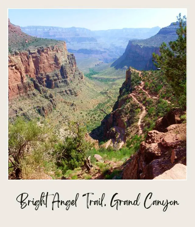 Aerial view of trail, mountains, trees, and bushes in Bright Angel Trail in Grand Canyon National Park.