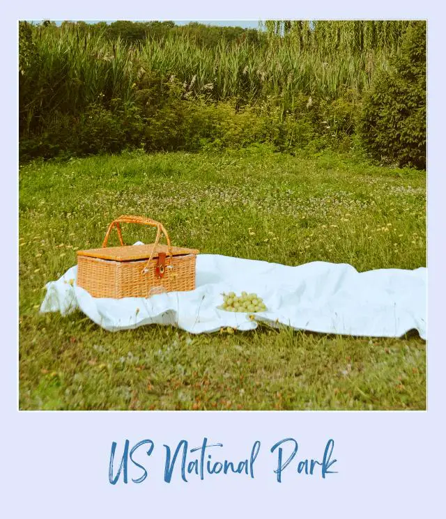 Brown Picnic Basket on White Picnic Blanket