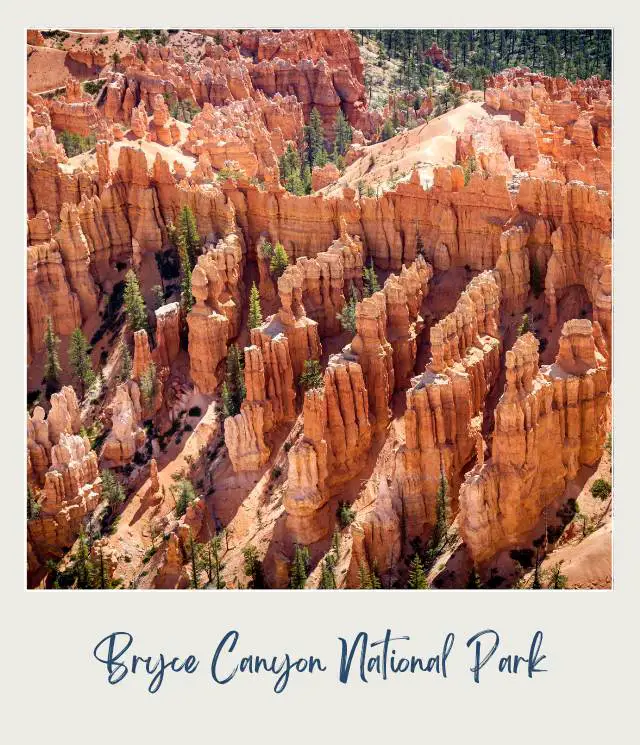 Rock mountains and hoodoos surrounded by trees in Bryce Canyon National Park.