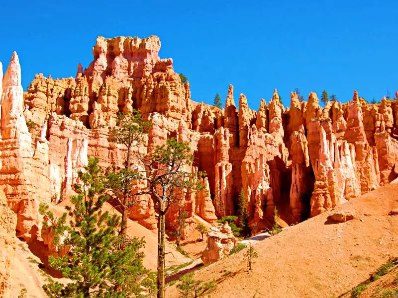 Red rock formations and below are trees in Bryce Canyon National Park