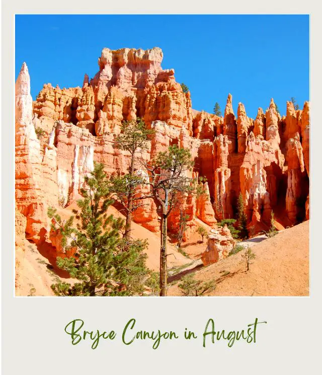 Red rock formations and below are trees in Bryce Canyon National Park