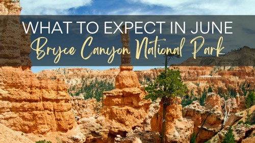 Iconic hoodoo rock formations in Bryce Canyon National Park in June under a bright summer sky