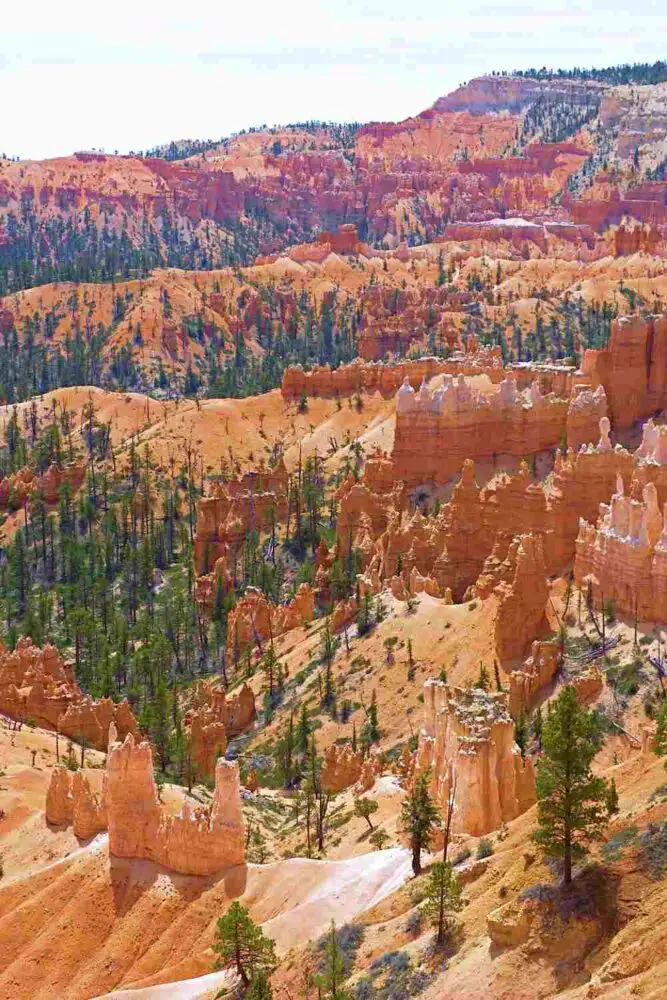 Aerial view of a huge red rock formation surrounded by trees in Bryce Canyon National Park