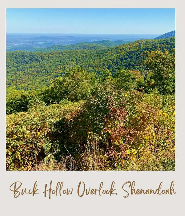 25 Best Overlooks on Skyline Drive Buck Hollow Overlook Shenandoah National Park