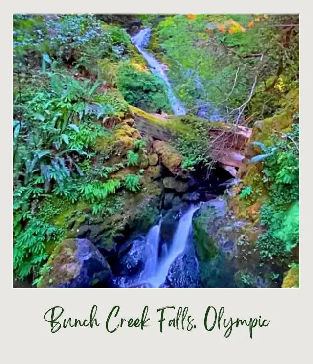 Lake Quinault Loop Drive: A Complete Guide for First Time Visitors Waterfalls surrounded by trees, rocks, and logs in Olympic National Park