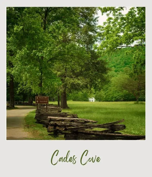 Grassy field with a wooden fence and tall trees at Cades Cove, Smoky Mountains National Park