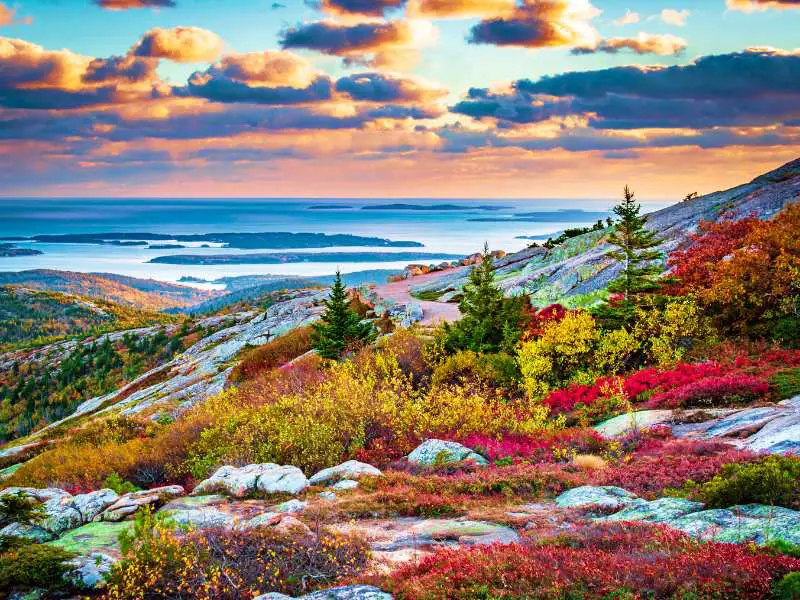 A photo of a mountain surrounded by colorful plants and trees, and behind is the ocean below the bright clouds in Acadia National Park