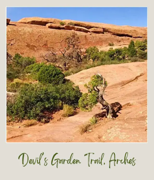 View of a huge rock formations and bushes in Devils Garden in Arches National Park.