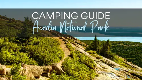 View of trail surrounded by trees and plants, with the text, Camping Guide Acadia National Park.