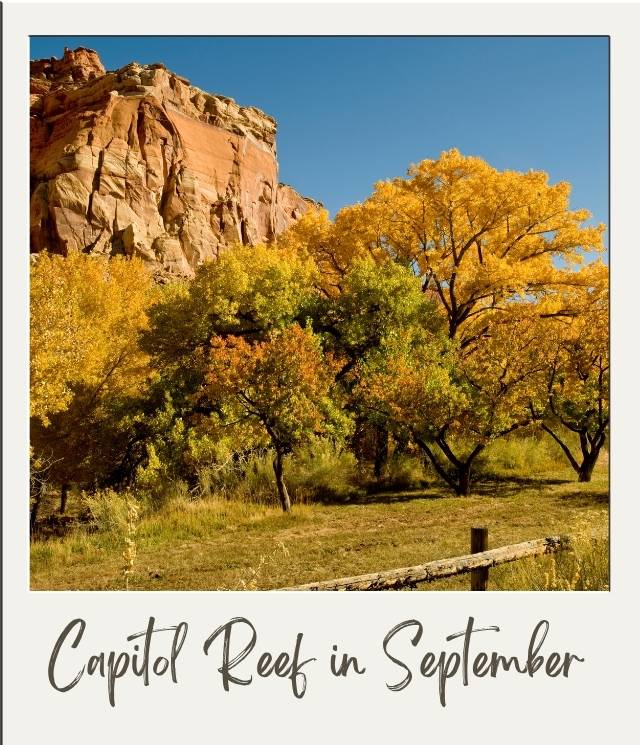 trees and cliffs in Capitol Reef National Park in September