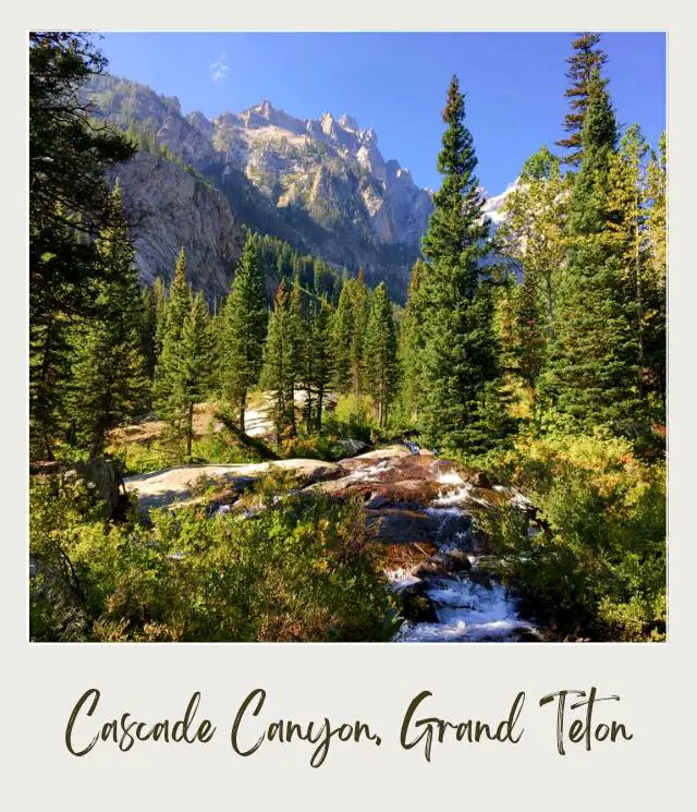 View of brooks surrounded by trees and mountains in Cascade Canyon in Grand Teton National Park.