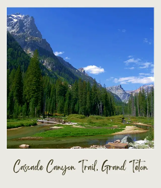 View of mountains, trees and rivers in Grand Teton National Park.