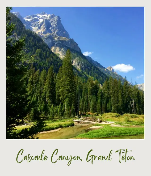 Mountains and trees in Grand Teton National Park.