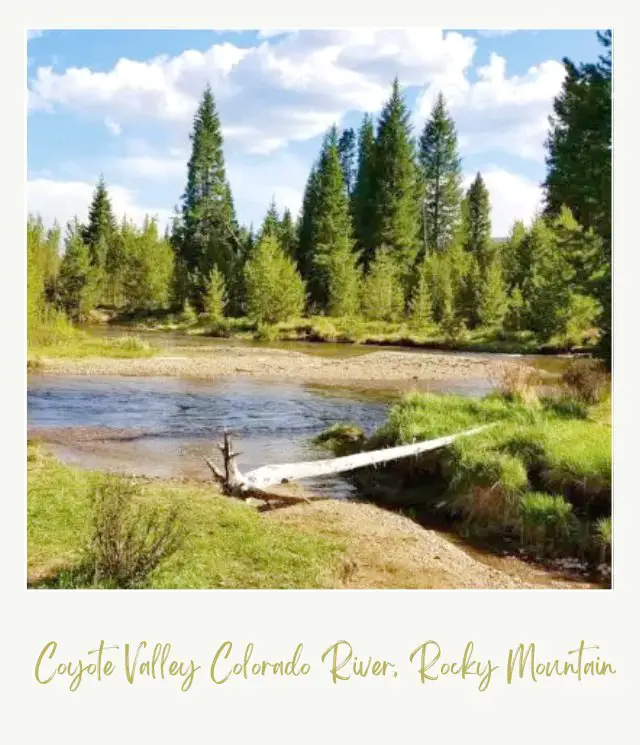 Best Hikes in Rocky Mountain National Park Cayote Valley Colorado River in Rocky Mountain National Park
