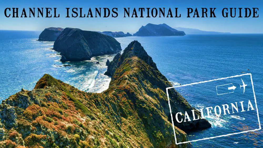 Channel Islands National Park Guide