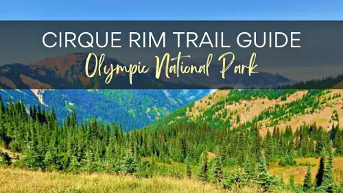 View of mountains and trees, with the text, Cirque Rim Trail Guide Olympic National Park.