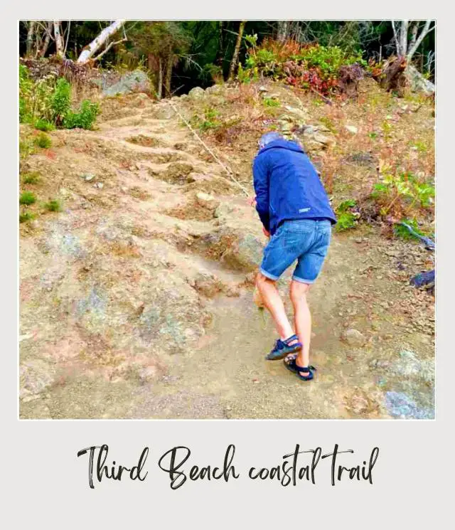 Third Beach, La Push: Complete Guide A man holding a rope and climbing the coastal trail in Third Beach Olympic National Park.