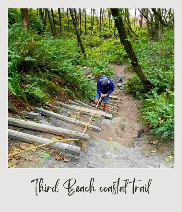 Third Beach, La Push: Complete Guide A man wearing a blue jacket holds a rope and climbs the rustic ladder on a coastal trail in Third Beach Olympic National Park.