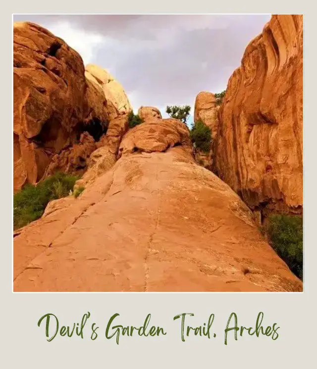 View of Huge rock formations and some bushes in Devils Garden in Arches National Park.