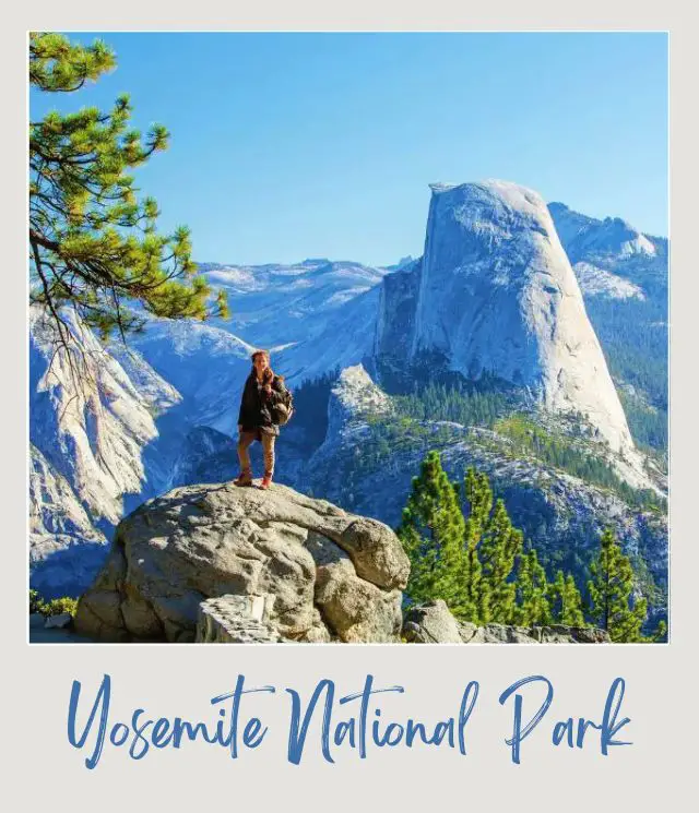 10 Fun Facts About Yosemite National Park A person standing on the rock and behind are rock mountains surrounded by trees in Yosemite National Park.