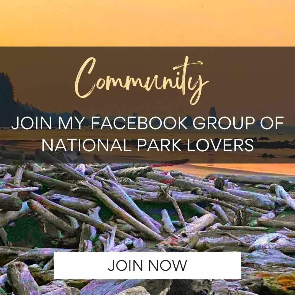 driftwood on beach at sunset with text Community join my facebook group of national park lovers