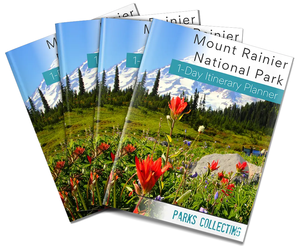 Cover Mount Rainier One day itinerary
