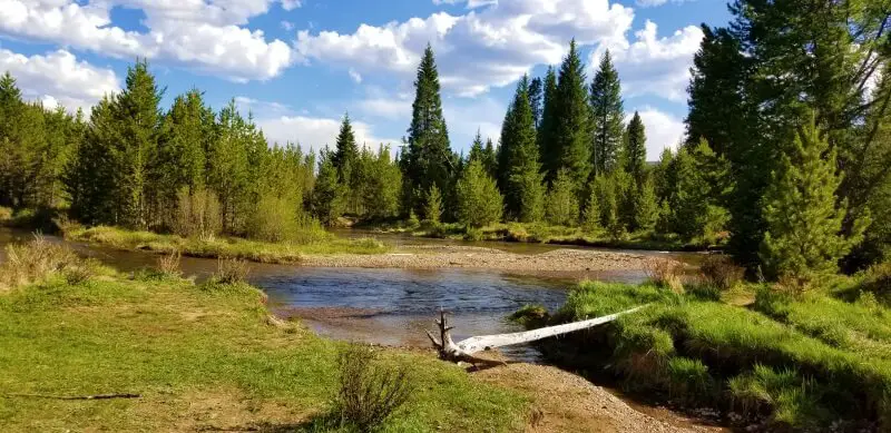 Coyote Valley Colorado River Trail Rocky Mountain National Park