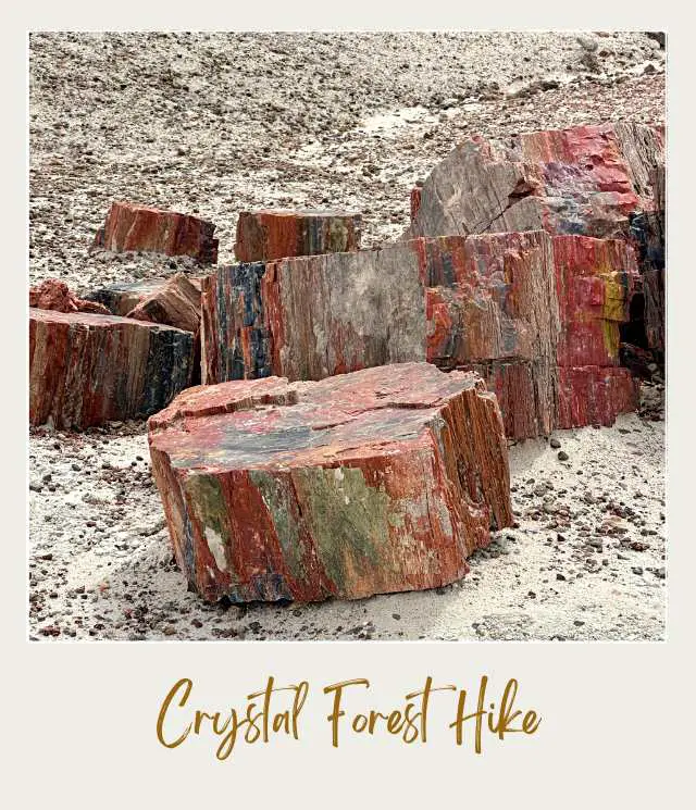 Crystal Forest Hike Petrified National Park 2